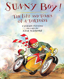 Sunny Boy The Life and Times of a Tortoise